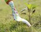 Garden Tool Set,Cute Gardening Gifts for Women,Birthday Gifts for Mom,Heavy Duty Tool Kit with Gloves,Garden Tote,Kneeling Pad,Hand Pruner,Trowel,Hand Rake,Weeder,Fork,Transplanter,Multicolor